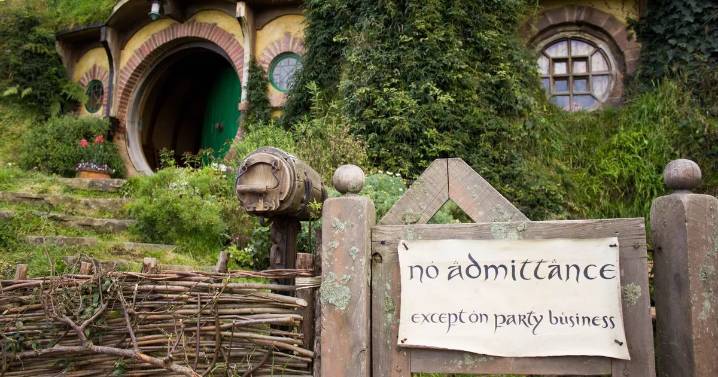 Lord of the Rings fans get married in New Zealand and are gobsmacked by unexpected guest