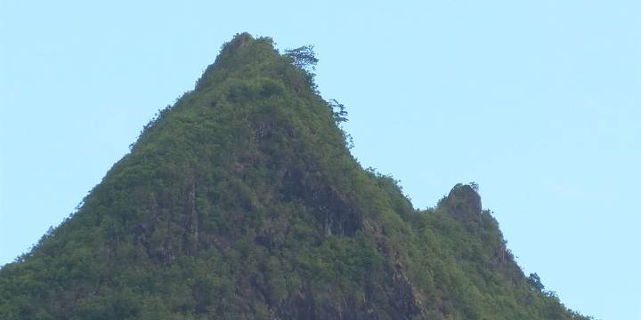 Hiker rescued after sliding down trail, injuring ankle