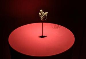 Chinese woman charged over gold theft at Paris Natural History Museum