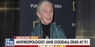 Anthropologist Jane Goodall dead at 91