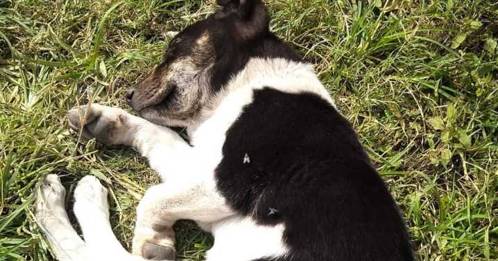 This Account Shares Some Of The Most Beautiful Wildlife Photos Ever Taken (25 Pics)