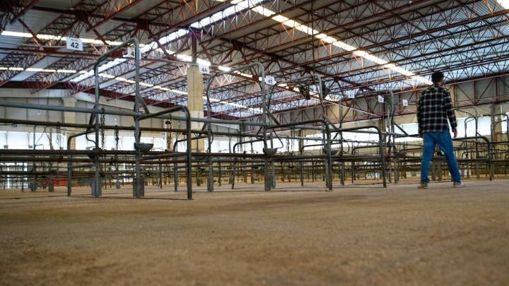 Proponen crear un cinturón de seguridad para evitar que la dermatosis se extienda