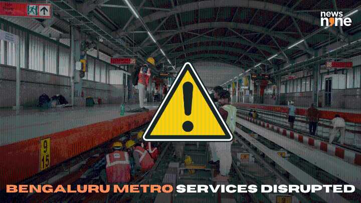 Bengaluru man jumps in front of moving metro at Nadaprabhu Kempegowda station; operations hit