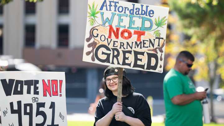 Michigan lawmakers float ban on new licenses for large marijuana farms