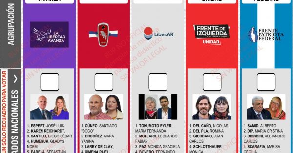 Por un error, la Justicia postergó el fallo por la reimpresión de boletas de LLA en Provincia de Buenos Aires