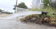 Norfolk neighbors still cleaning up after weekend storm