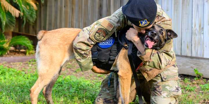 VIDEO: Emotional moment a retired Air Force K-9 reunites with her handler forever