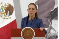 Obtuvo Alito terrenos con lavado de dinero, dice CSP