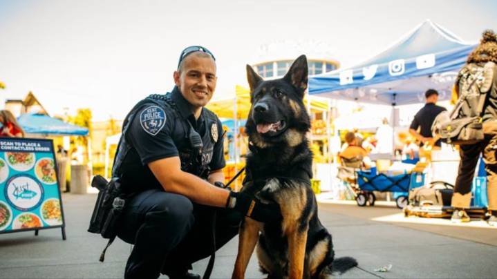 'Good boy' Gambit: K9 aids arrest after reckless