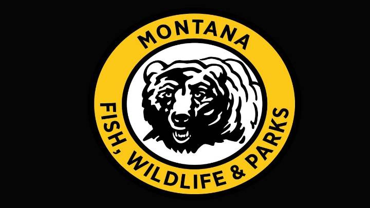 Two separate poaching cases lead to charges against against four individuals