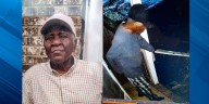 Sumter County deputies searching for missing 90
