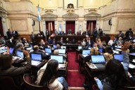 El Senado rechazó los vetos a los proyectos de emergencia en pediatría y financiamiento universitario