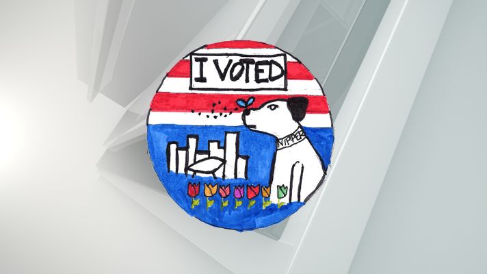 2025 Albany County 'I Voted' sticker unveiled