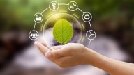 Día Mundial del Ahorro de Energía: una fecha para actuar, no solo pensar