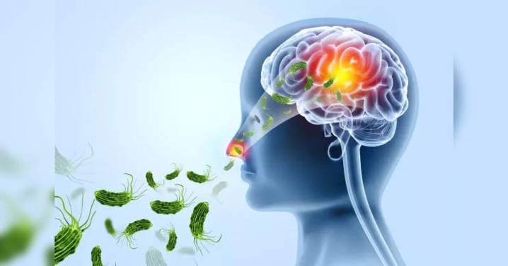 Kerala health dept, ICMR-NIE launch field study on amoebic meningoencephalitis spread