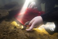 Over 2,000 Rare Hellbender Salamanders Released Into Ohio Waterways Over 13 Years