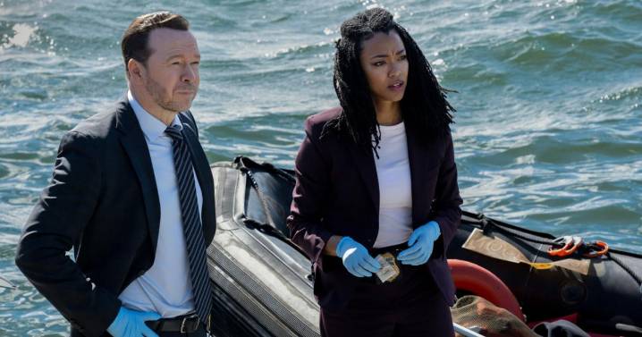 New 'Blue Bloods' spinoff 'Boston Blue' explores family dynasties in the police force