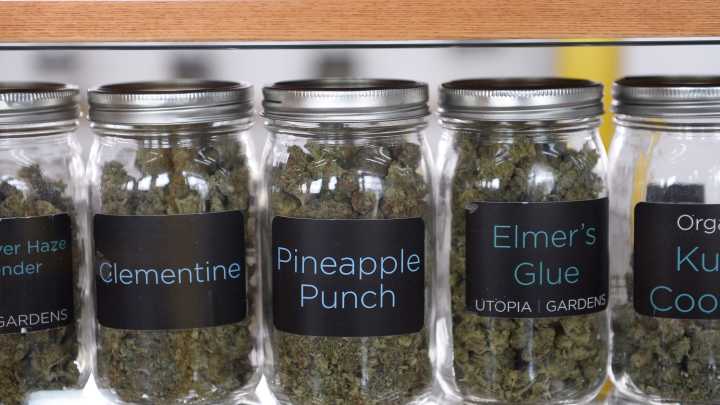 Lawsuit challenges new Michigan marijuana tax, would upend roads deal