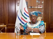 WTO Chief calls for reform of consensus rule amid trade disruption