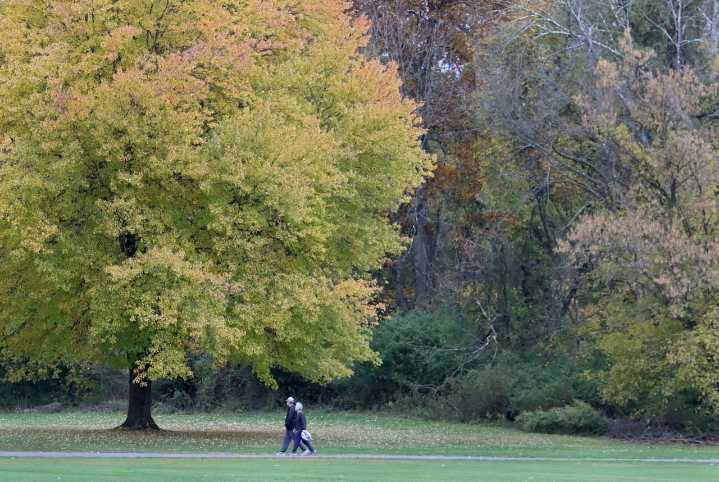 N.J. county connects greenway with purchase of vacant, wooded land