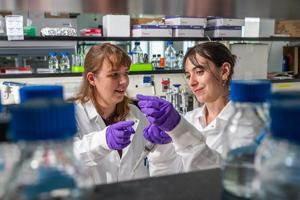 Discovery paves way for potential male birth control pill