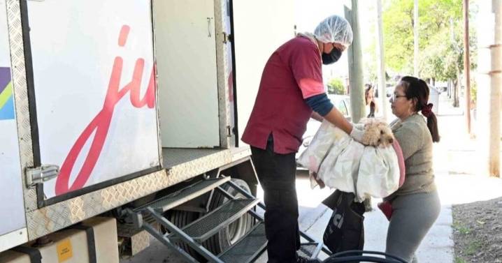 Continúan las campañas de castración y vacunación