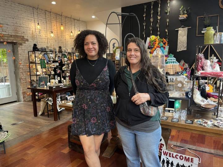 Pilsen’s Homegrown Studio, A Collective Retail Shop, Offers A Little Of Everything From Local Makers