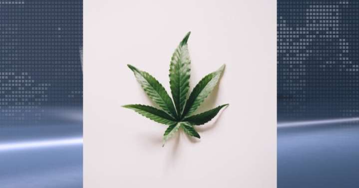 Governor Walz signs cannabis deal with Prairie Island Indian Community