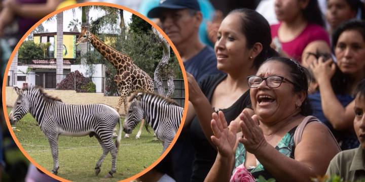 ¿Adiós al Parque de las leyendas? Proponen que zoológicos públicos sean clausurados en todo el Perú