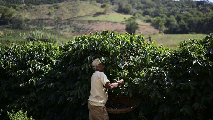 Change is brewing in the coffee industry. What lies ahead?