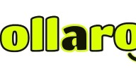 New Social App Pollaroo Launches, Bringing the Pulse Back to Social Media One Question at a Time