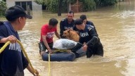 Despliegan a 3 mil 300 marinos a zonas de desastres por lluvias