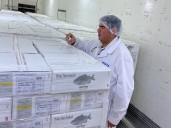 "La buena relación bilateral favorece el intercambio": una familia innovó en la forma de producir un tradicional pescado y realizó el segundo embarque a Estados Unidos