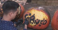 Los Angeles-area Halloween event returns for start of spooky season