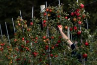 A recipe for avoiding 15 million deaths a year and climate disaster is fixing food, scientists say