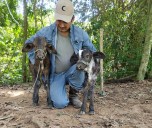 Apoyados por Ecopetrol más de 800 productores de Casanare fortalecen sus sistemas agropecuarios