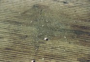 Today in Chicago History: 68 people killed when American Eagle plane bound for O'Hare crashes in an Indiana field