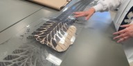 Tracking a criminal’s trail: A look inside the Henderson Forensic Laboratory