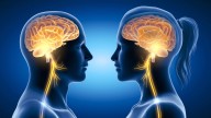 El nervio vago: el 'mensajero' que conecta cuerpo, mente y emociones