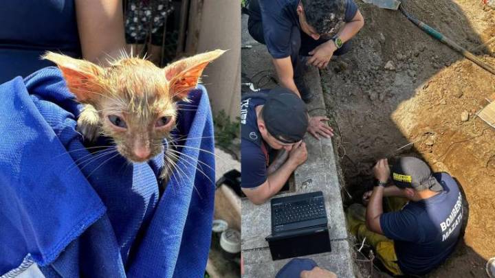 Bomberos de Mazatlán salvan a dos gatitos atrapados en una tubería
