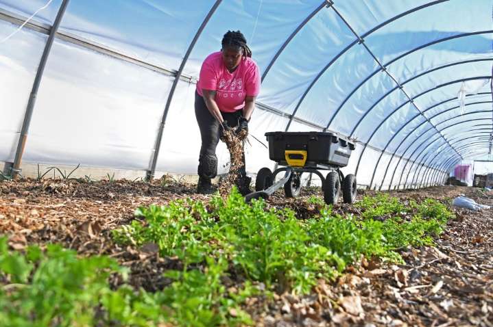 Fresh produce, new art featured at West Baltimore Saturday celebrations