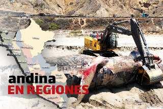 Andina en Regiones: sepultan a ballena azul varada en la costa
