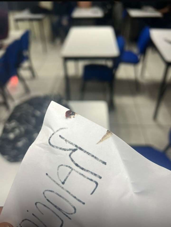 Fumiga SSD 20 escuelas por chinches; plaga persinste en Fader y Cipol