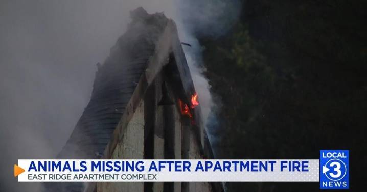 East Ridge apartment fire unites community