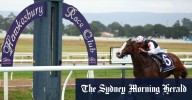 Race-by-race preview and tips for Hawkesbury on Thursday