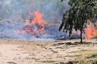 VIDEO | Incendio en El Puestito de San Antonio: bomberos trabajaron más de una hora para sofocar las llamas