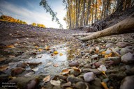 ‘Dead, dry rivers’: Lawsuit says state isn’t managing rivers for the benefit of all