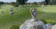 Philly-area Aronimink Golf Club still needs golf-loving volunteers for 2026 PGA Championship