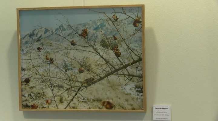 UNM student art hanging on the walls of Metro Court in Albuquerque