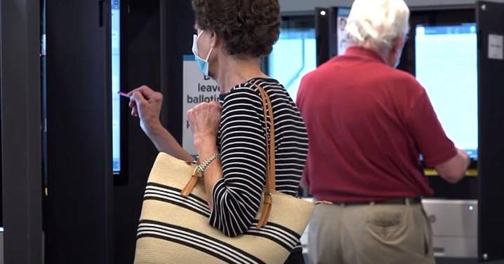 Former GOP election official buys Dominion Voting Systems, says he’ll push for paper ballots